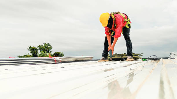 Professional Roofing Services in West Park, CA